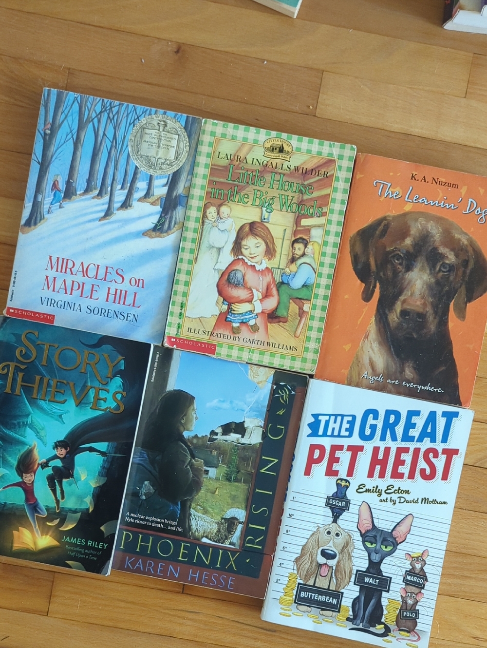 Set of 6 Children's Bestseller Books - Colorful Illustrated Covers